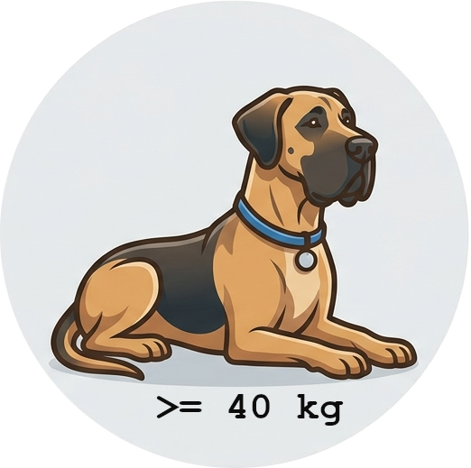 Hunde über 40 kg