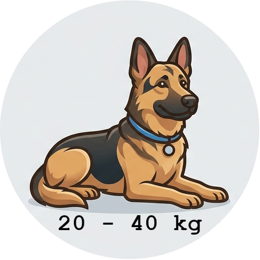 Hunde 20 bis 40 kg